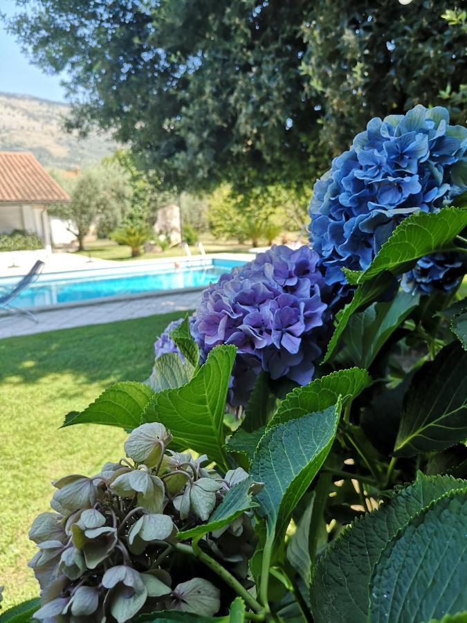 Villetta Blue Garden Sonnino Exterior foto